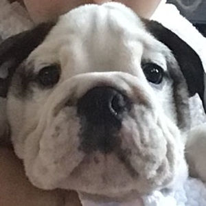 Meet your Posher, Cory